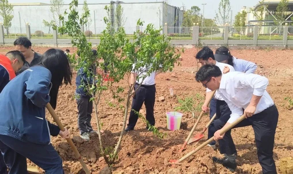 2f8e25a2d9ed2e4c90b937546a5befd8.jpg 2f8e25a2d9ed2e4c90b937546a5befd8.jpg