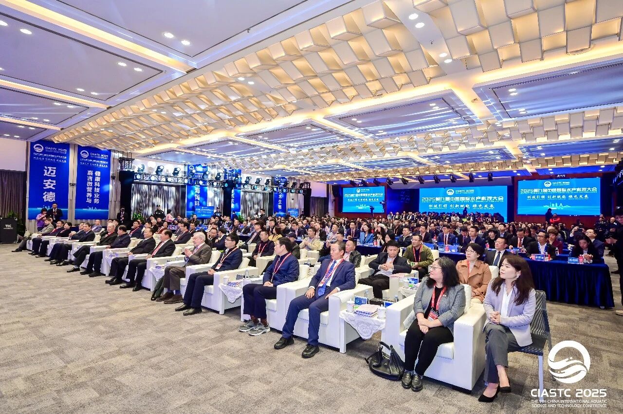 2aa7f491f3587724f1ef64af9fa65e41.jpg 2aa7f491f3587724f1ef64af9fa65e41.jpg